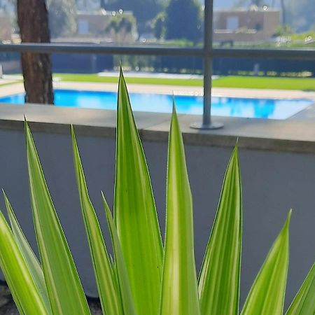 Barca House - Nature - Golf - Pool & Beach Esposende Extérieur photo